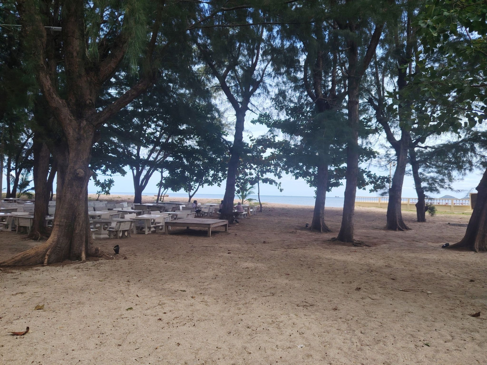 250927_koh_samui_306
