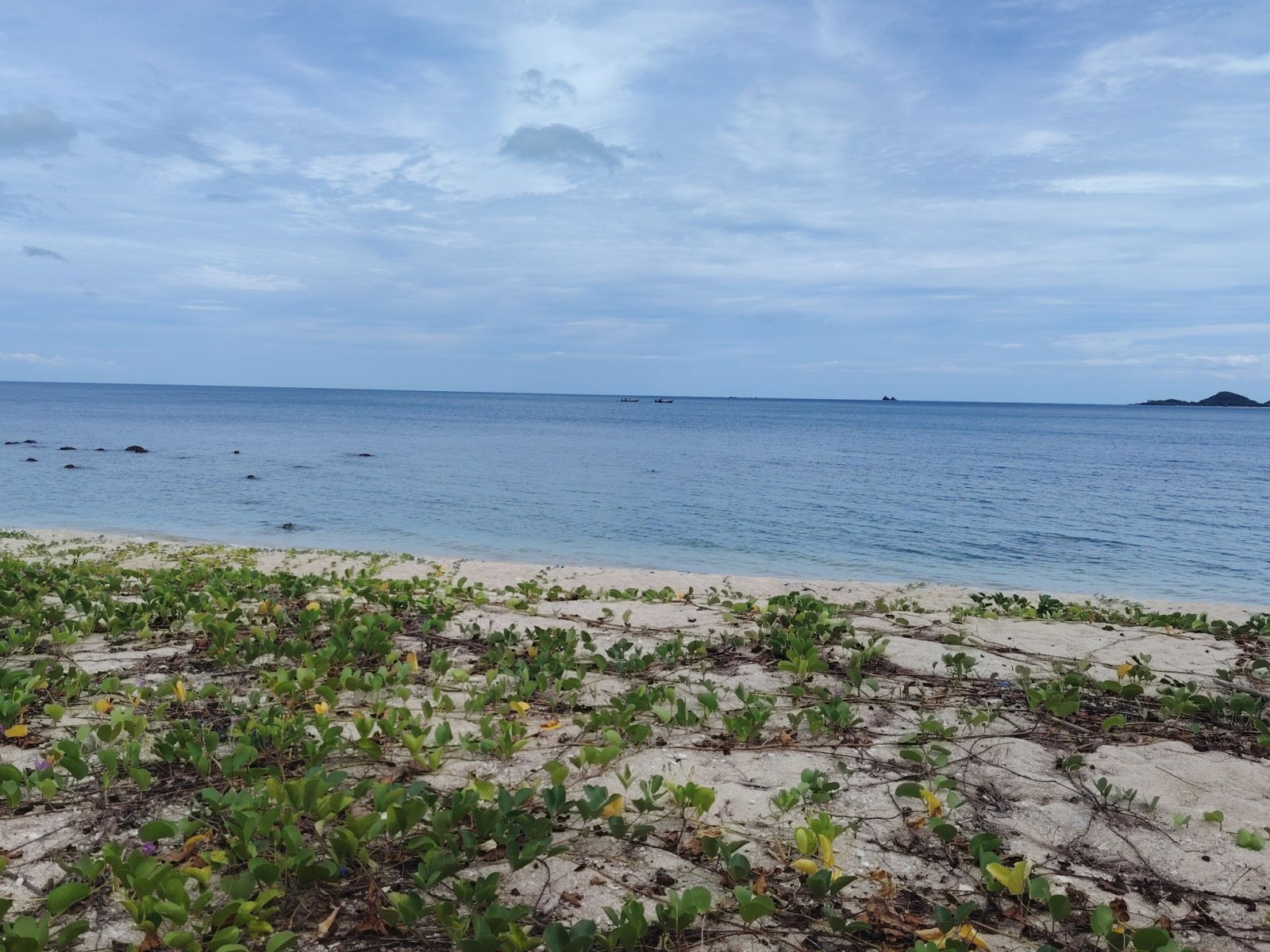 250927_koh_samui_349