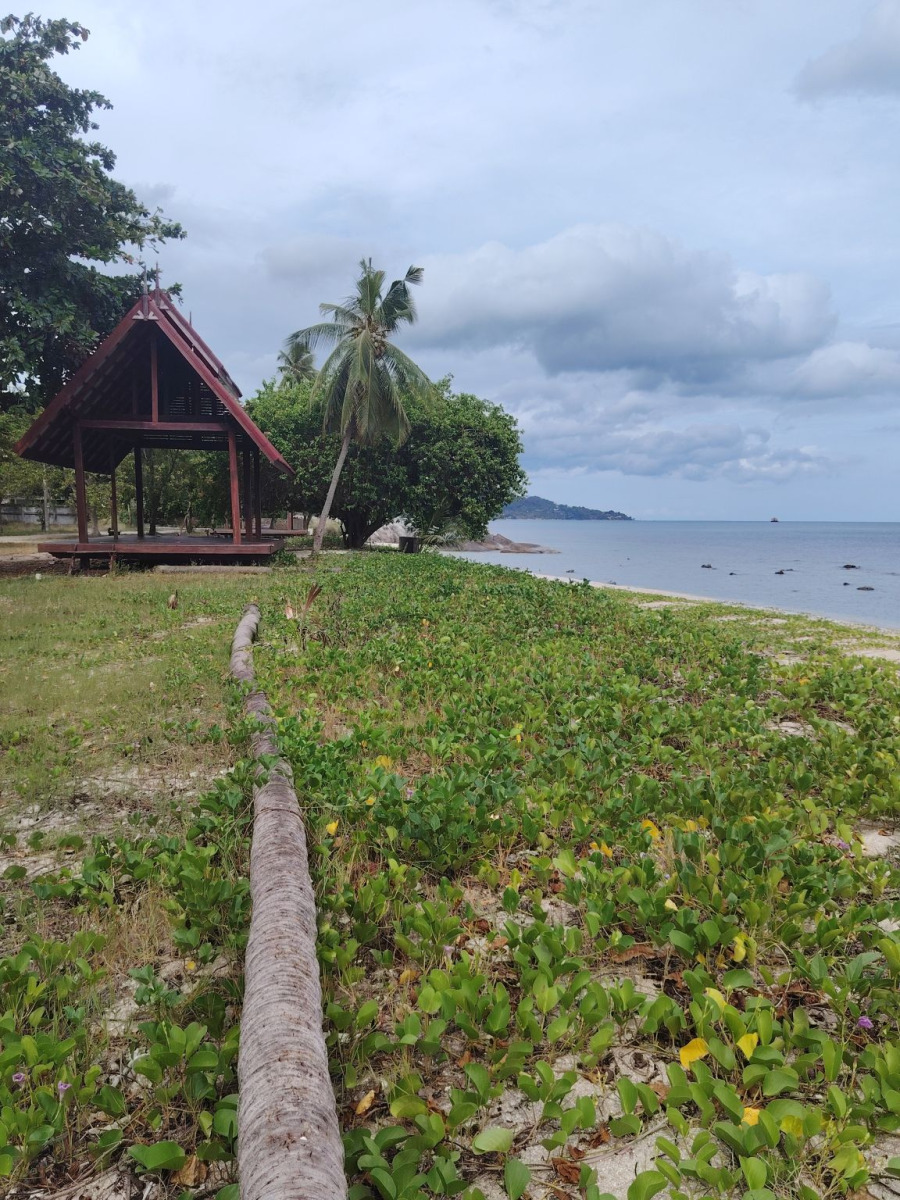 250927_koh_samui_351