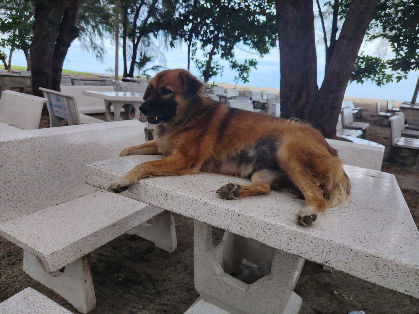 250927_koh_samui_359