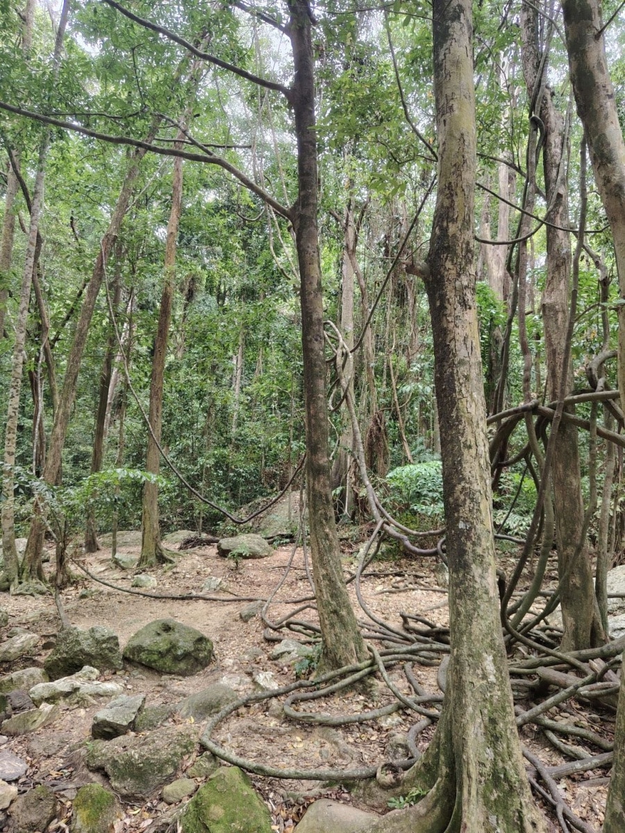 250928_koh_samui_087