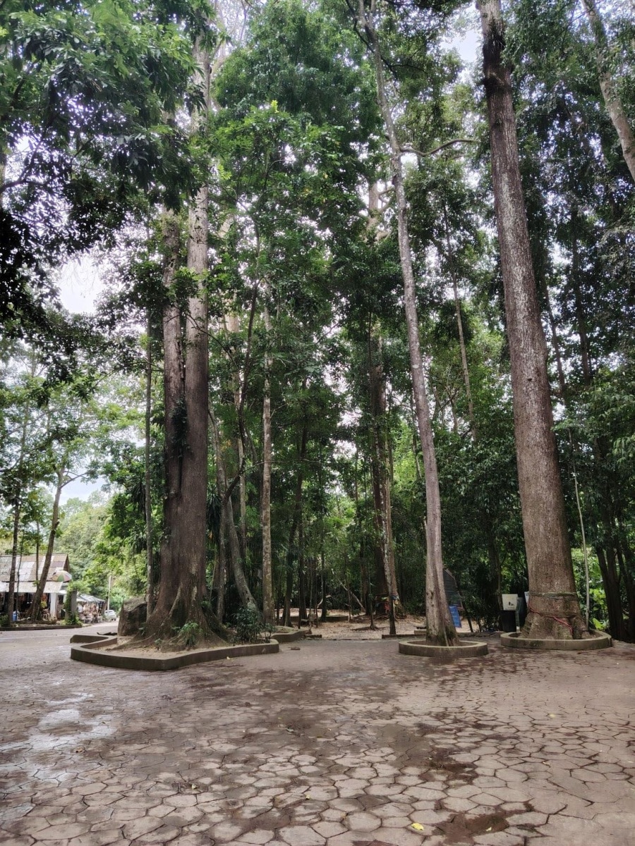 250928_koh_samui_090