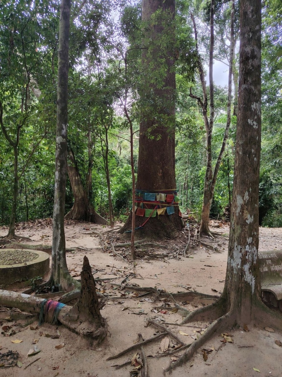 250928_koh_samui_098