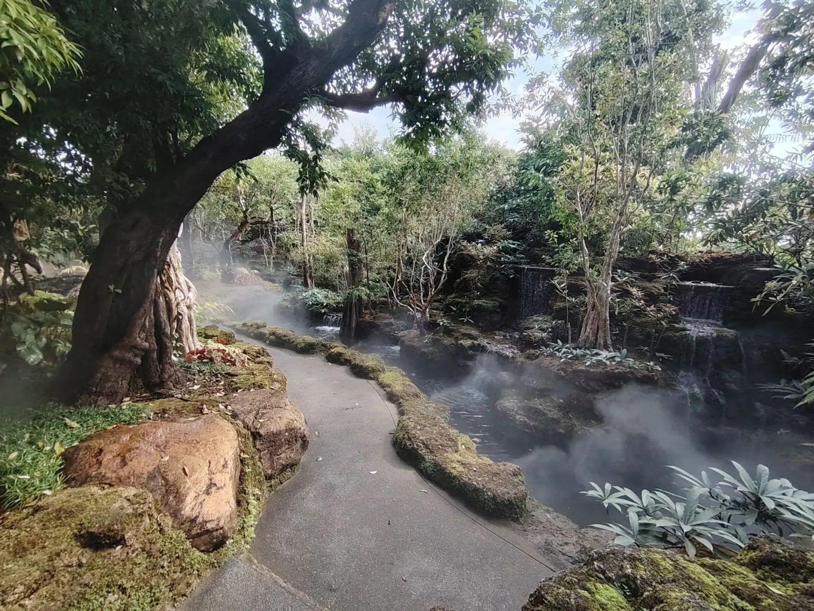 260124_chiang_mai_056