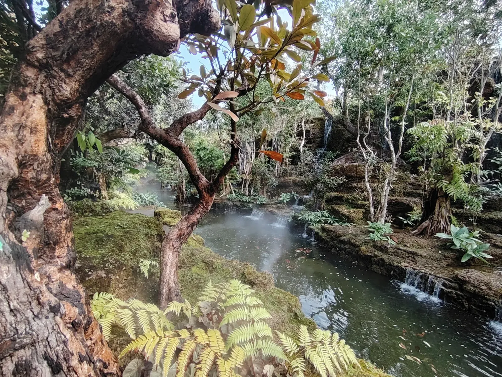 260124_chiang_mai_067