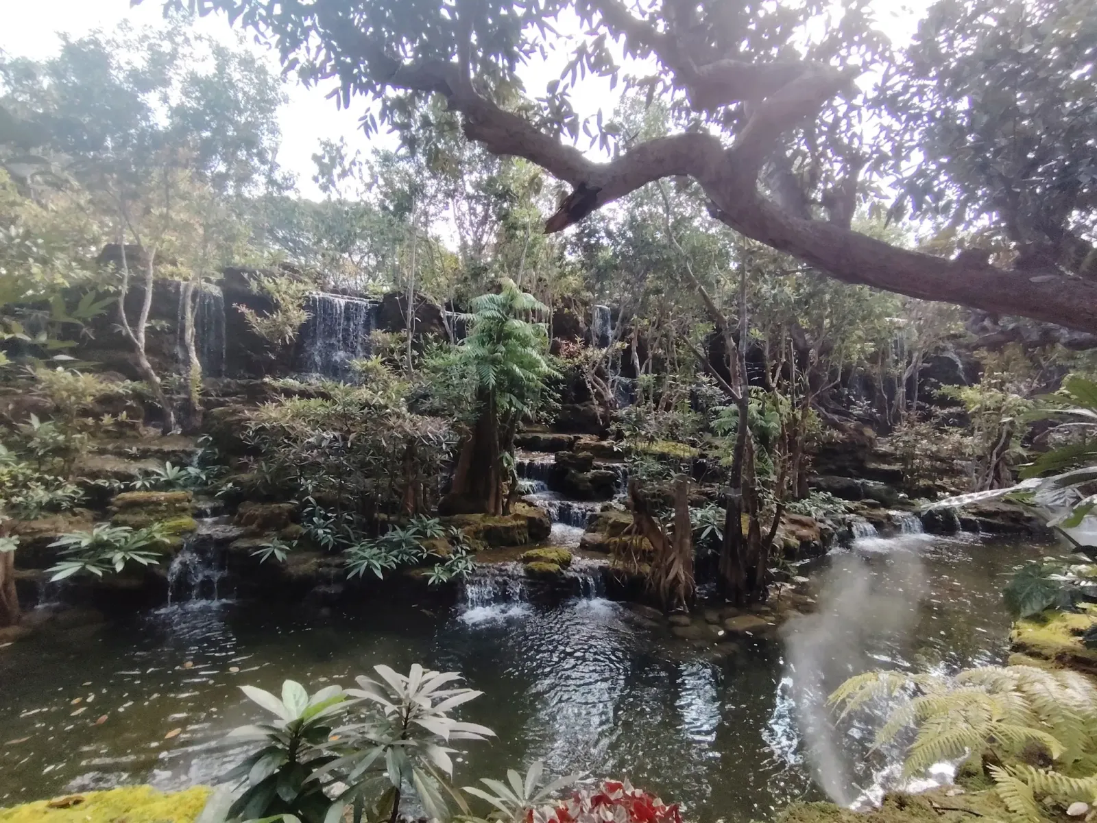 260124_chiang_mai_078