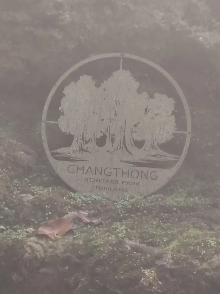 260124_chiang_mai_082