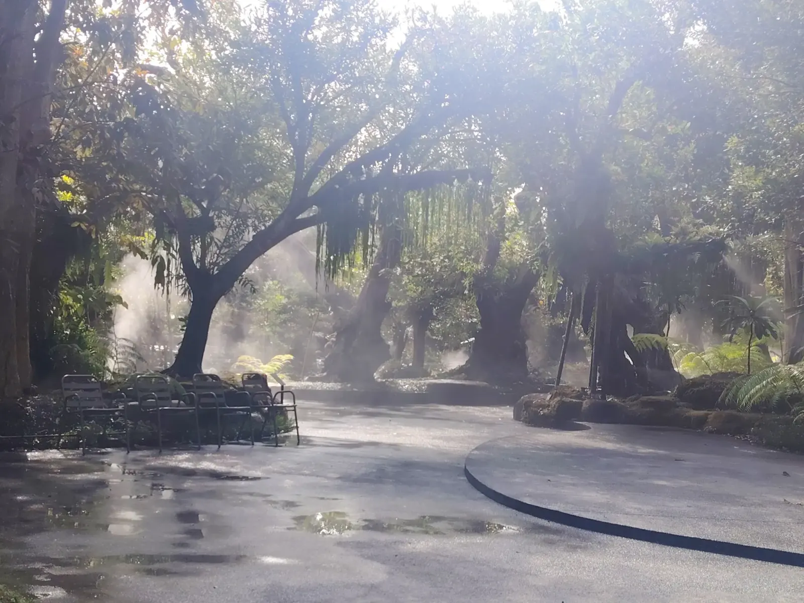 260124_chiang_mai_090