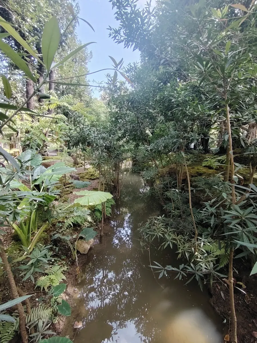 260124_chiang_mai_097