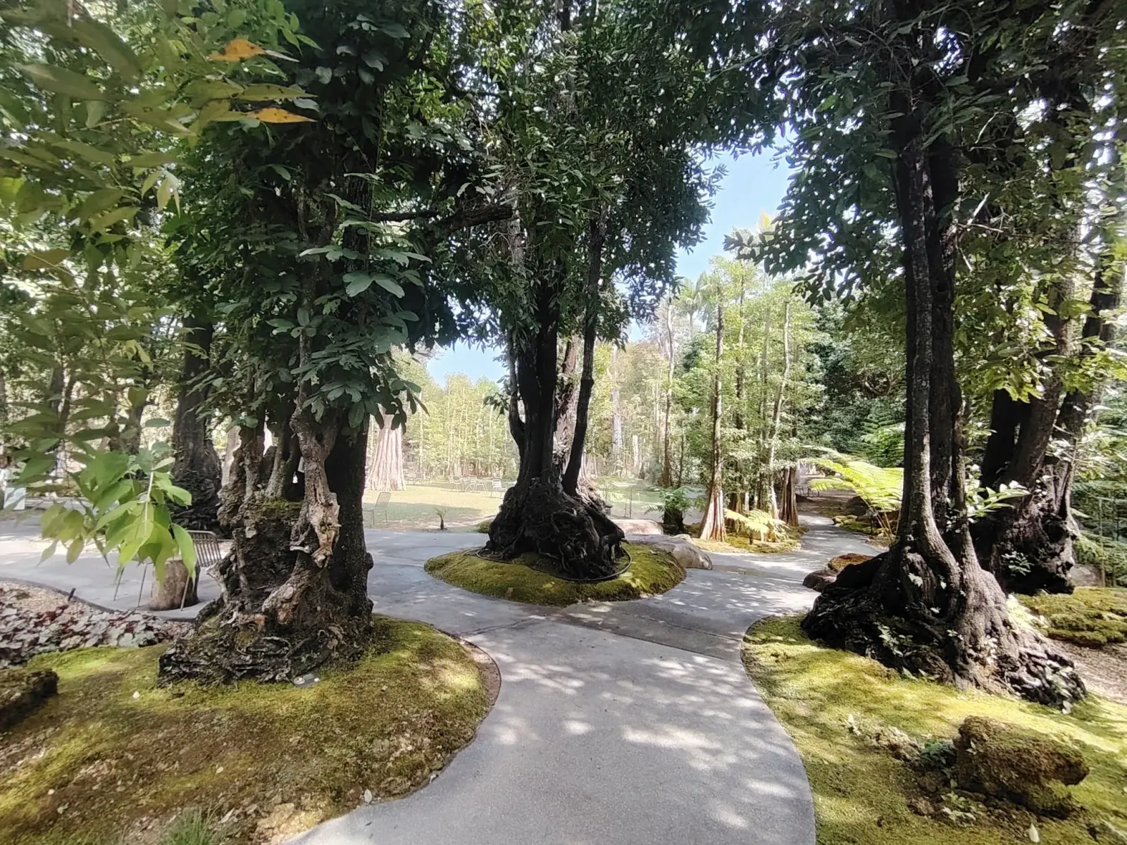 260124_chiang_mai_101