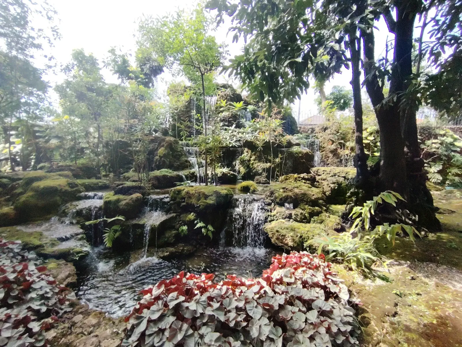 260124_chiang_mai_103