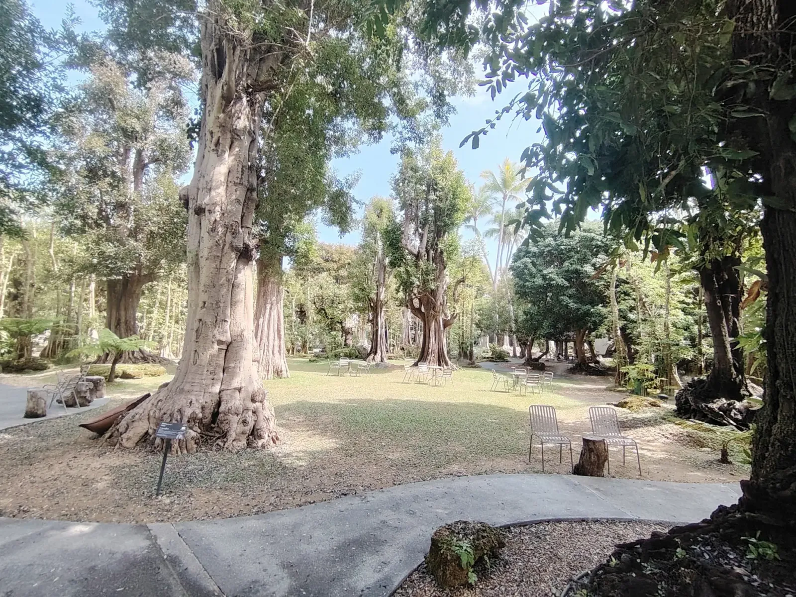 260124_chiang_mai_104