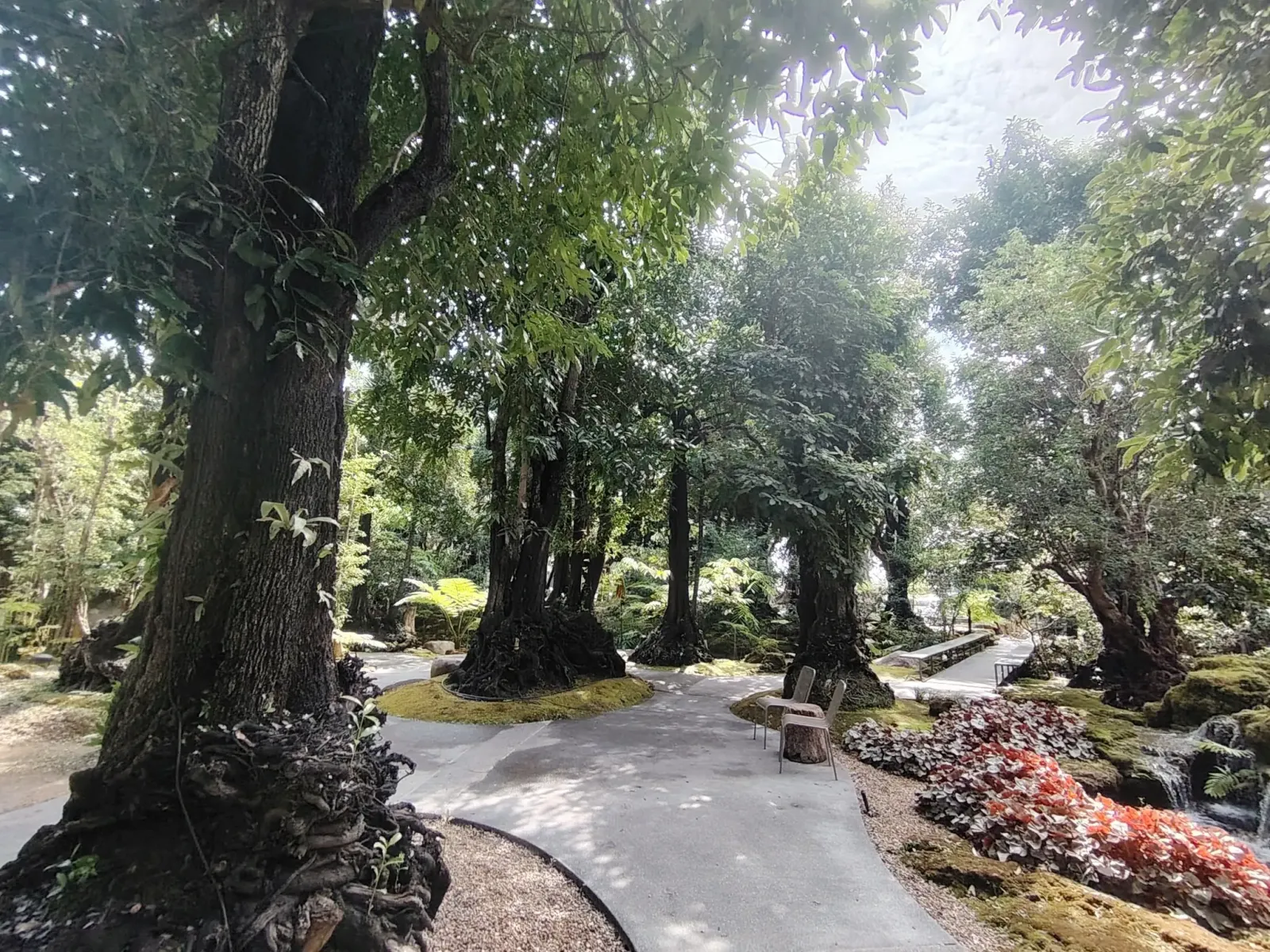 260124_chiang_mai_105