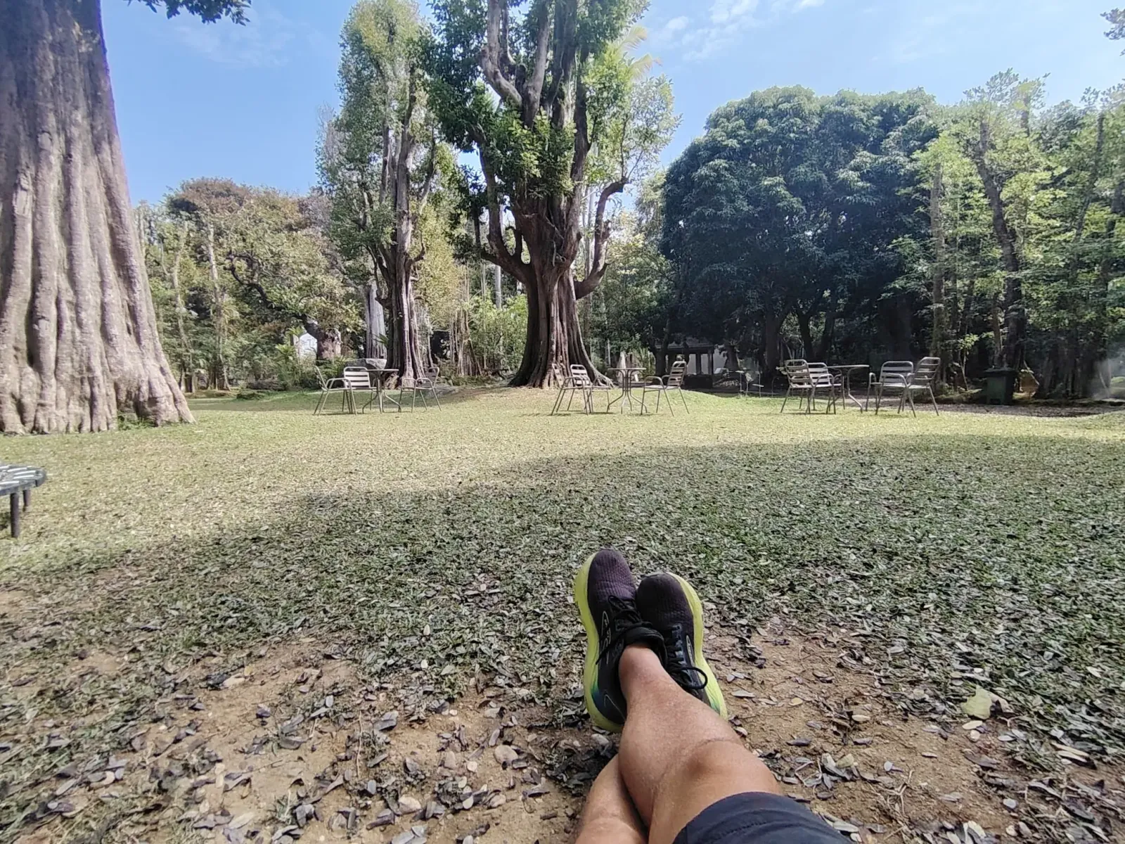 260124_chiang_mai_113