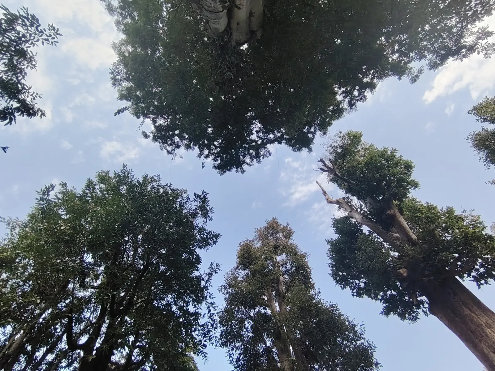 260124_chiang_mai_115