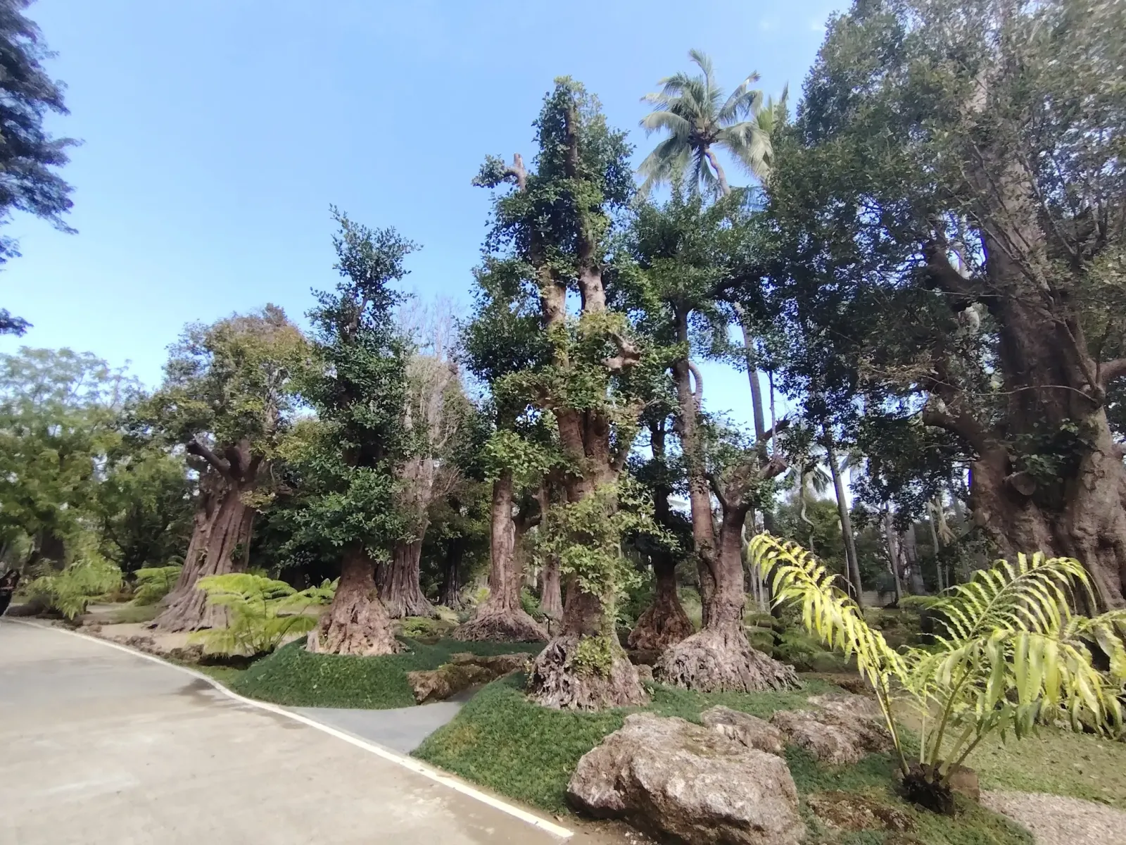 260124_chiang_mai_145