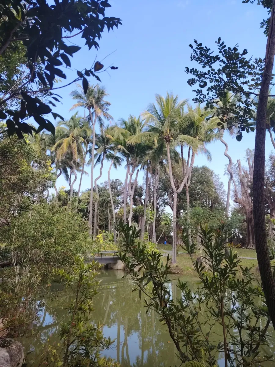 260124_chiang_mai_161