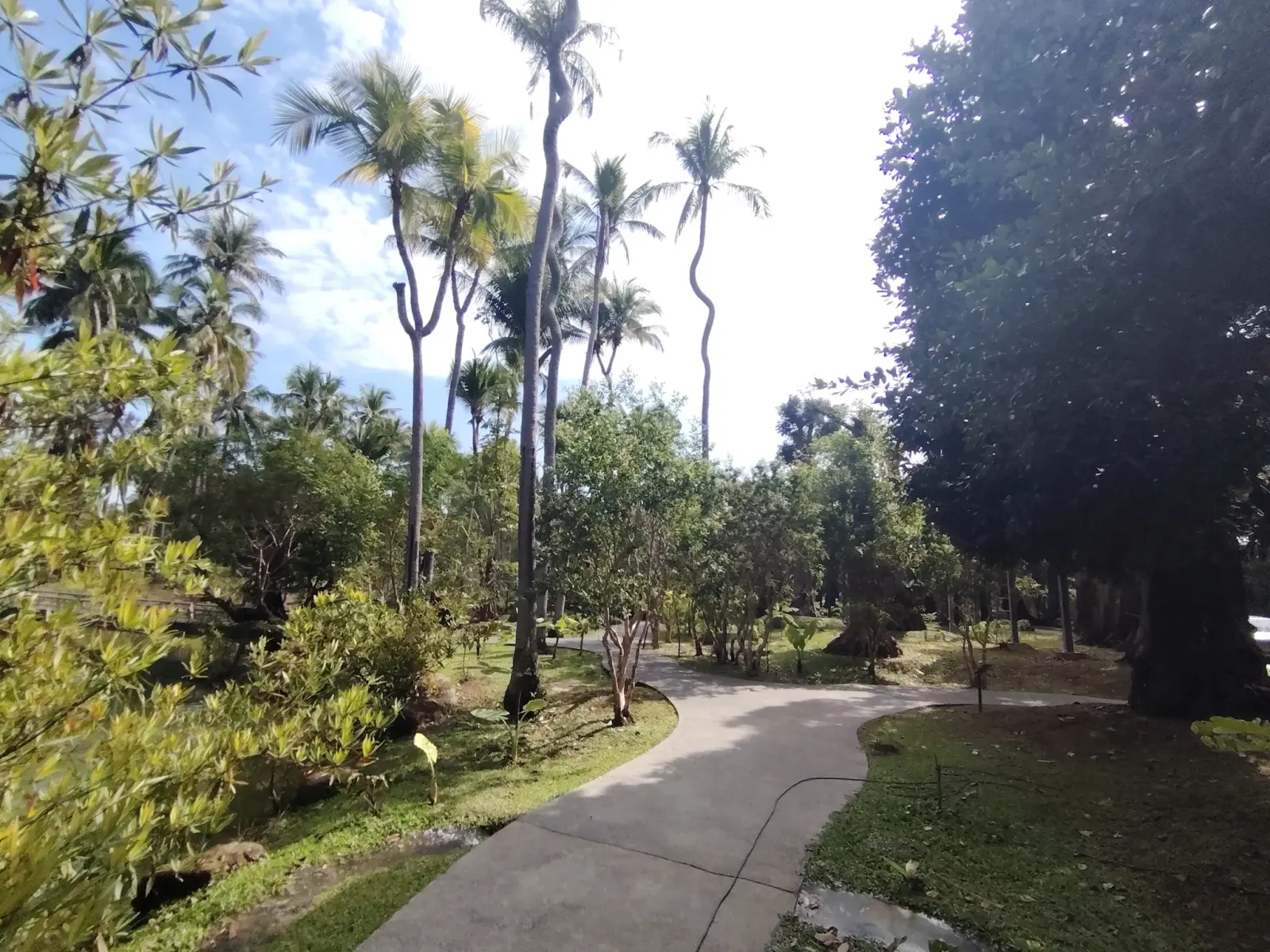 260124_chiang_mai_173