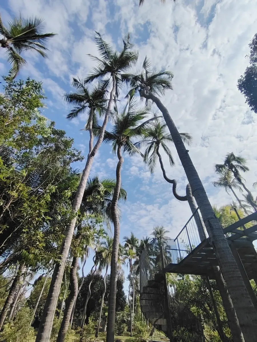 260124_chiang_mai_176