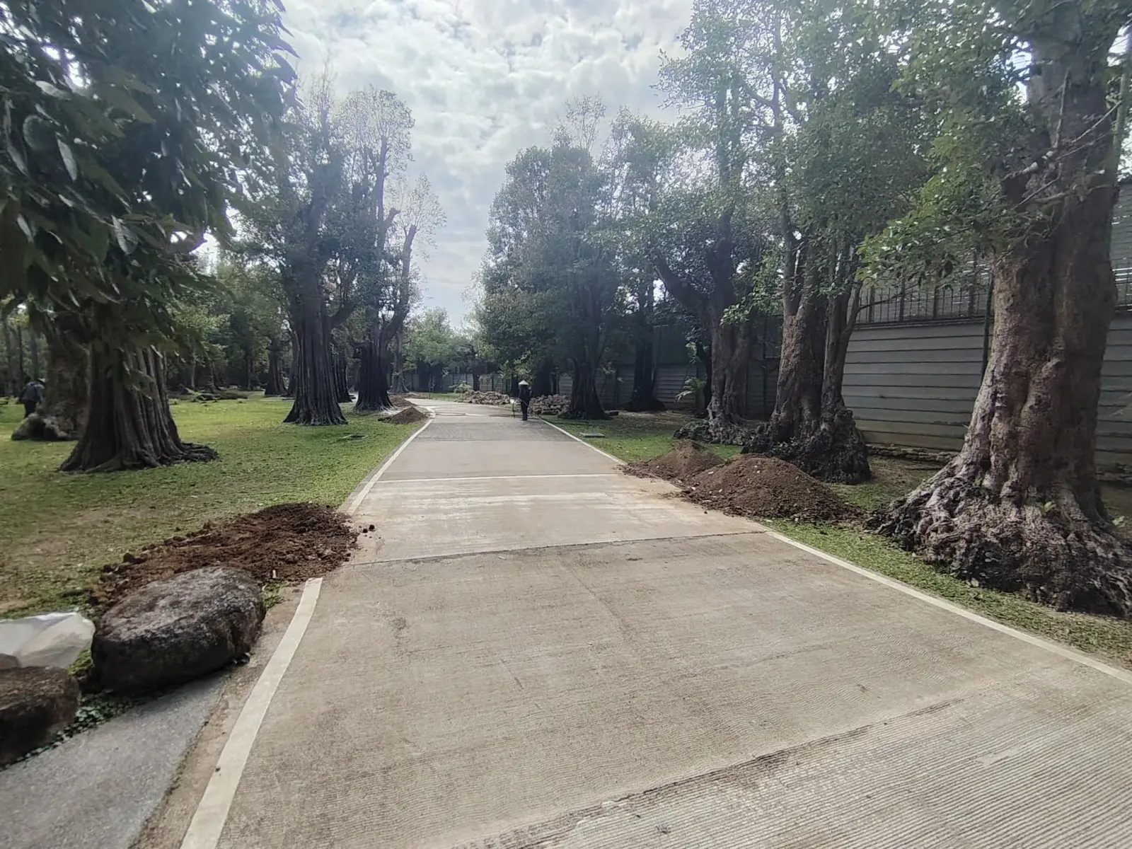 260124_chiang_mai_210