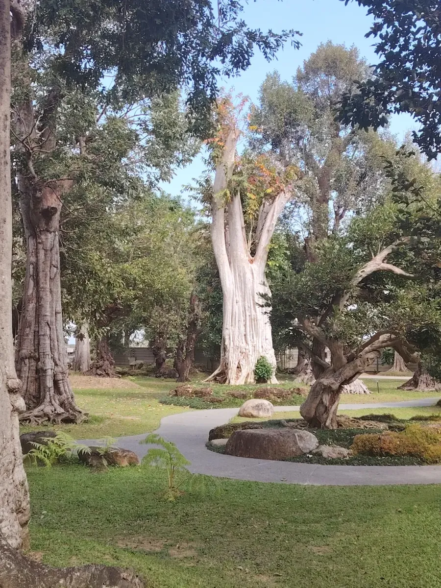 260124_chiang_mai_217