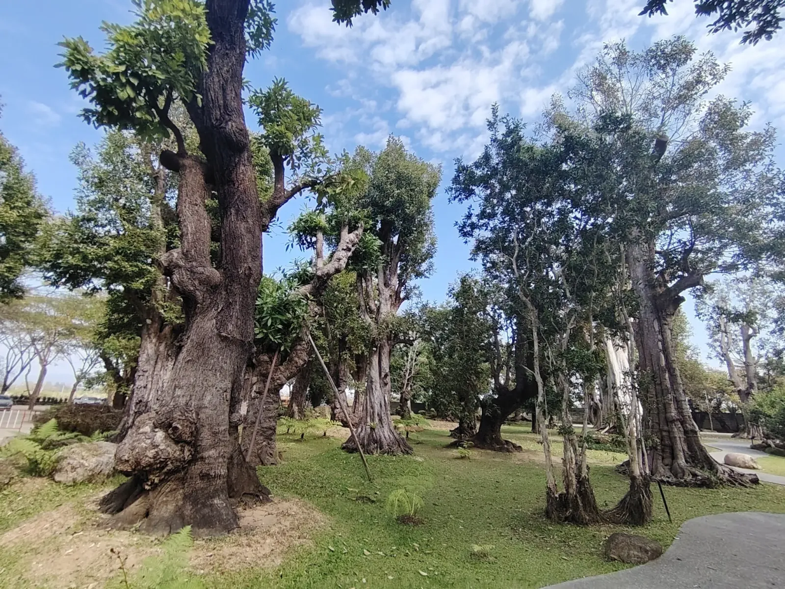 260124_chiang_mai_219