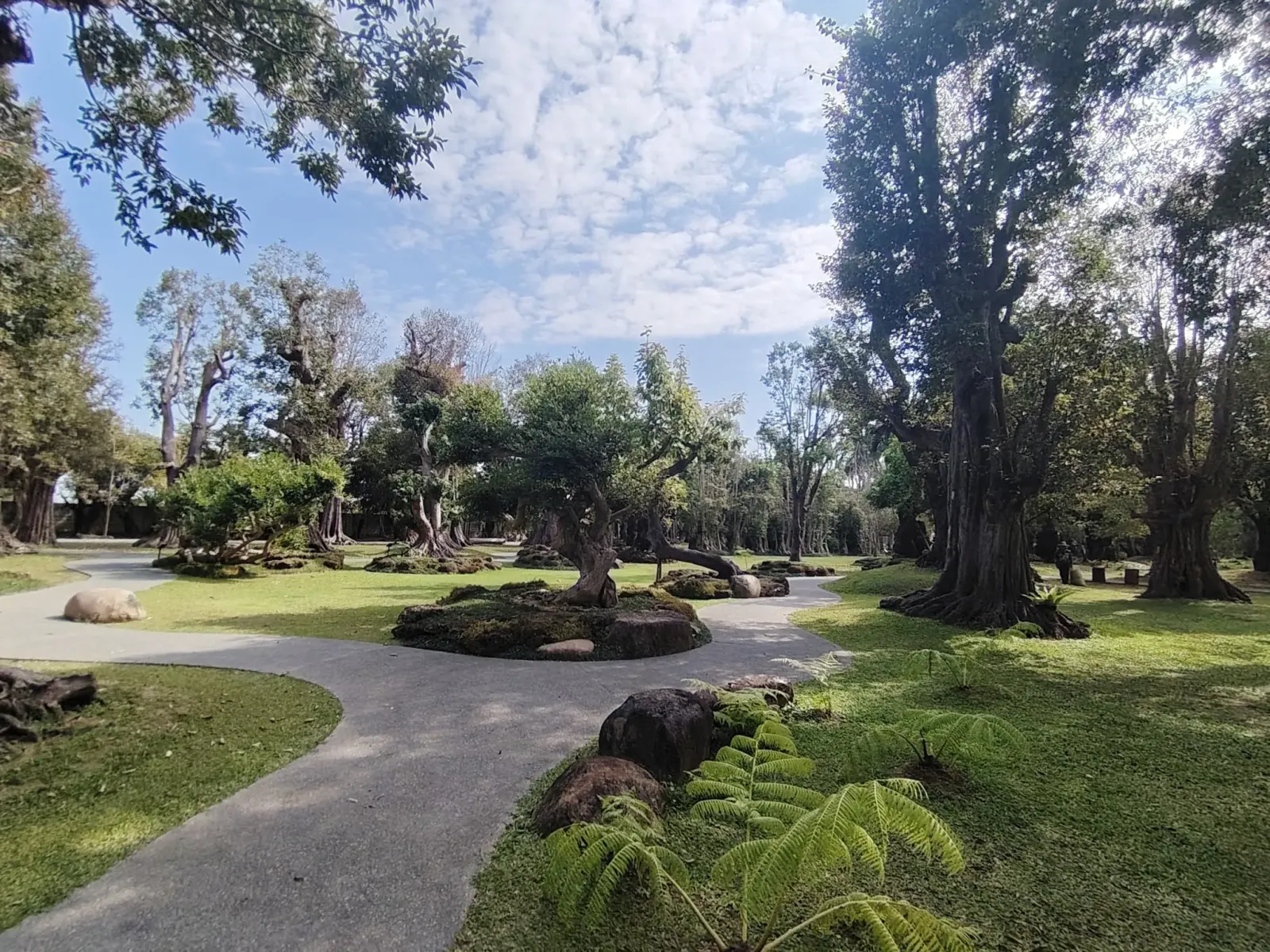 260124_chiang_mai_221