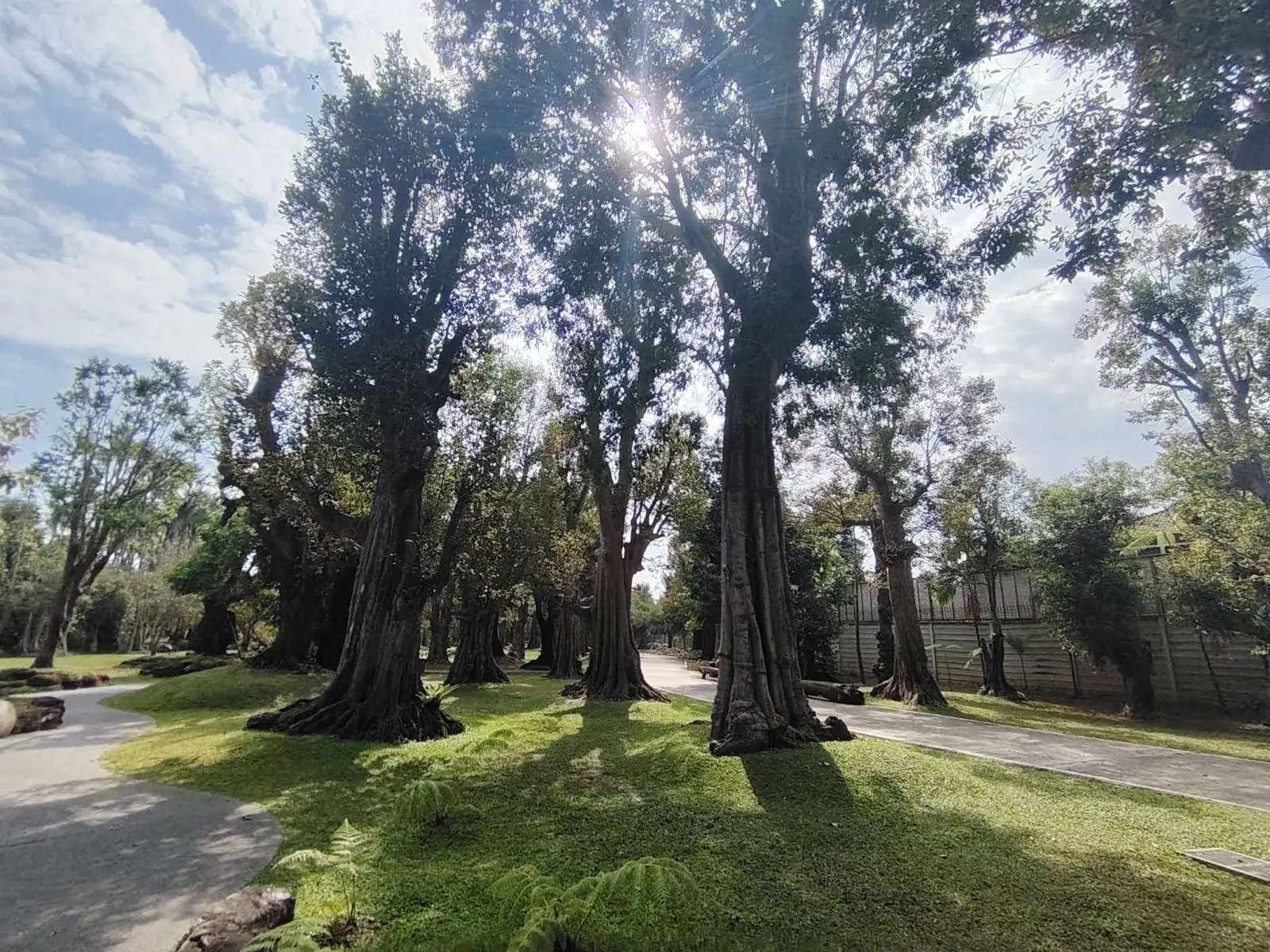 260124_chiang_mai_222