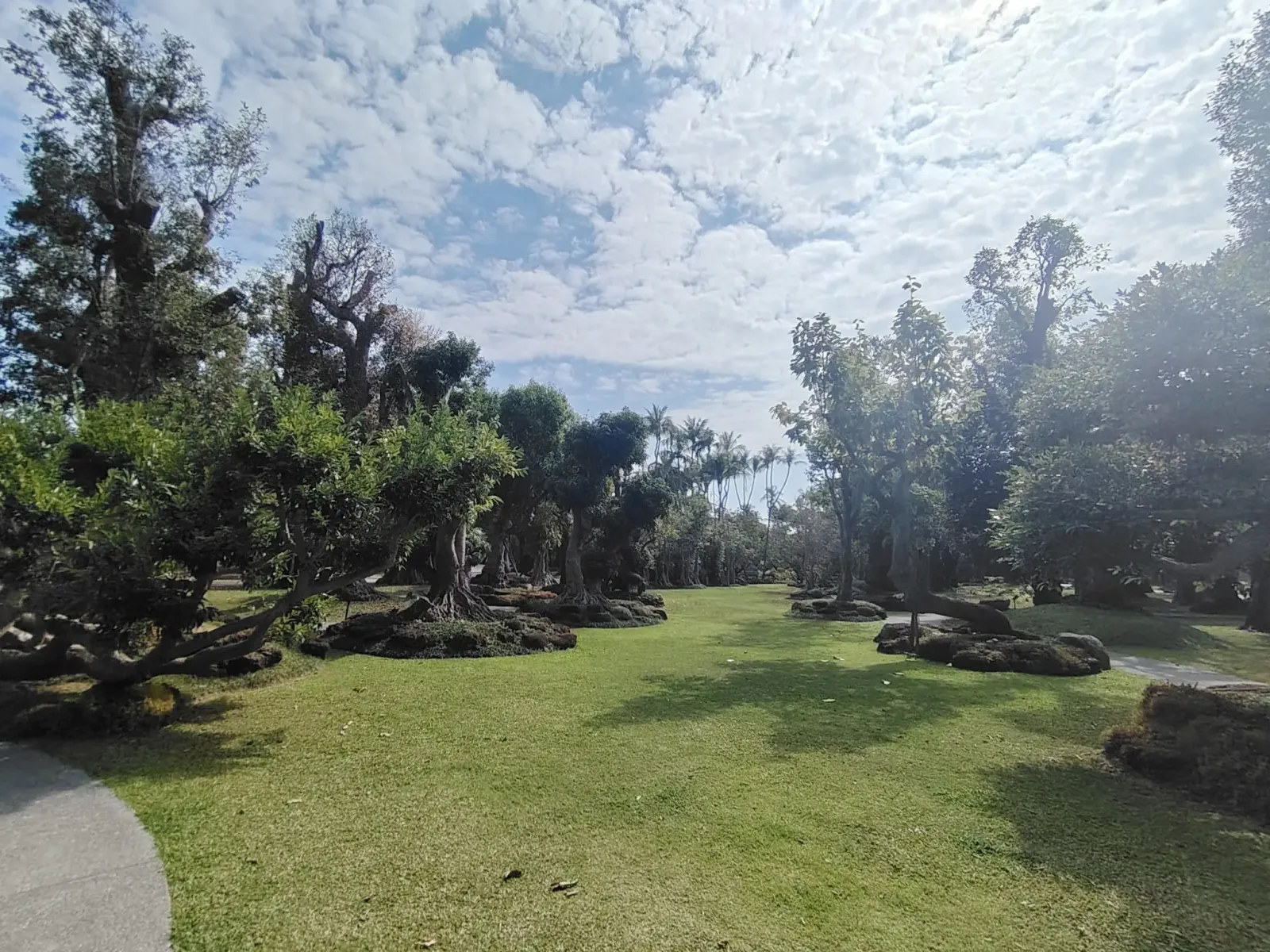 260124_chiang_mai_228