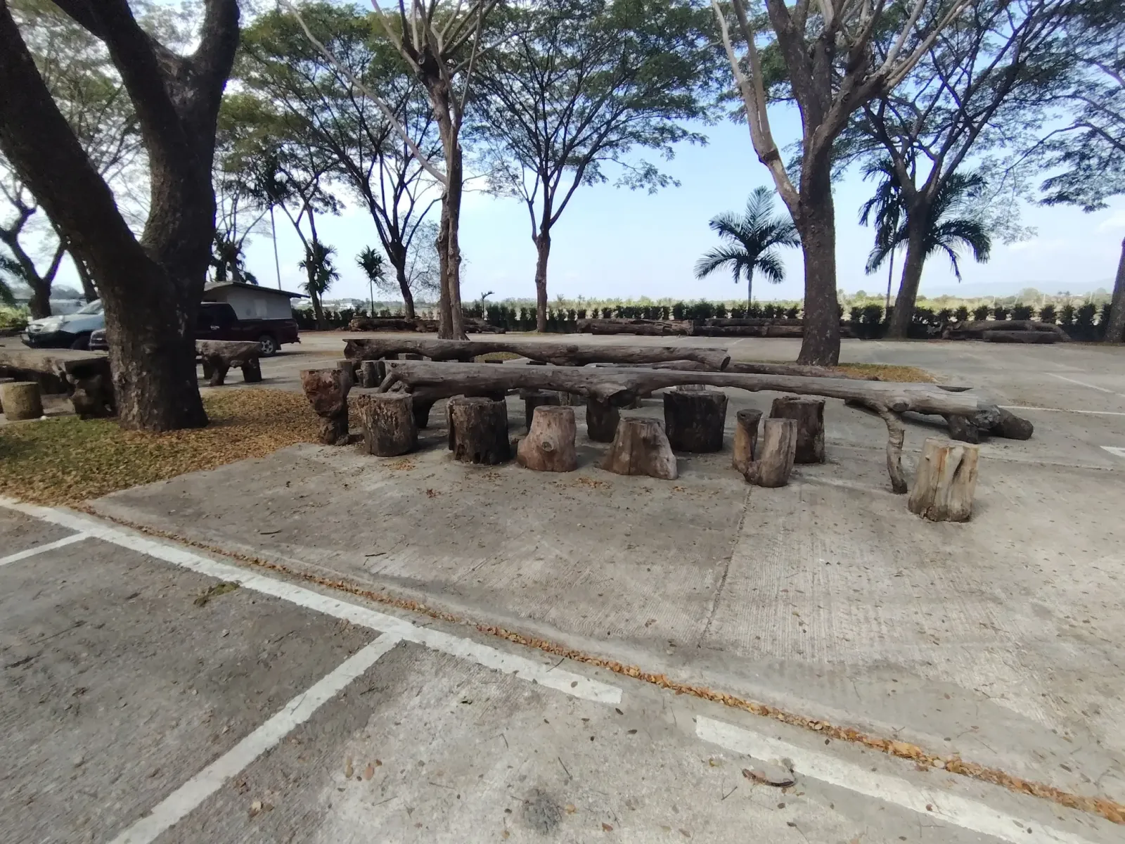 260124_chiang_mai_240