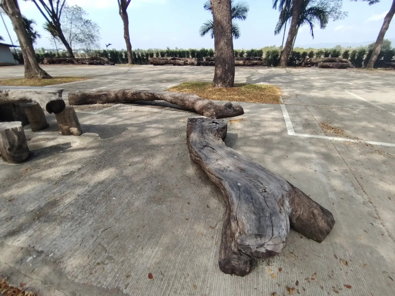 260124_chiang_mai_241