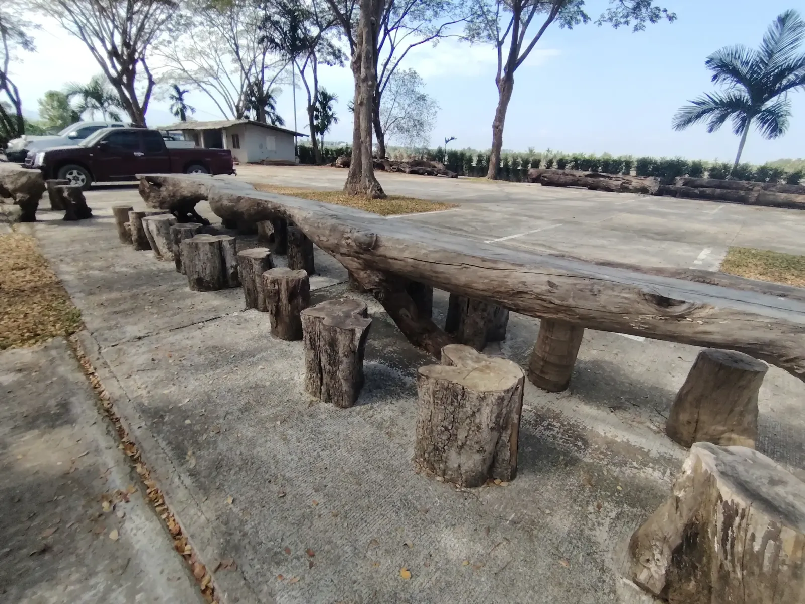 260124_chiang_mai_242