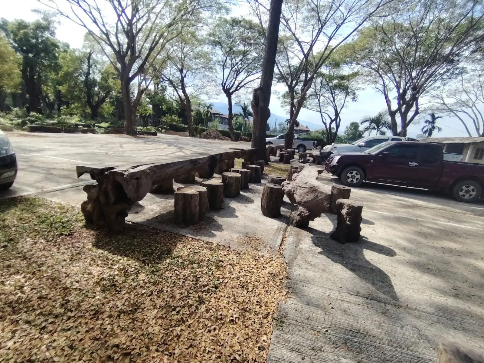 260124_chiang_mai_243