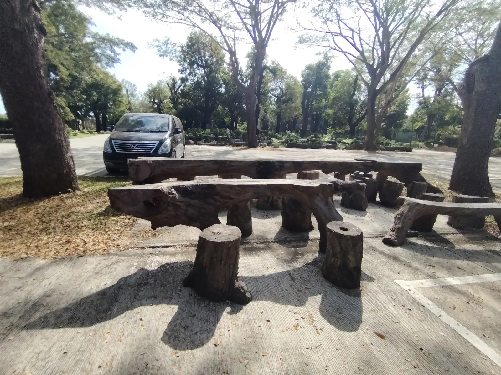 260124_chiang_mai_244