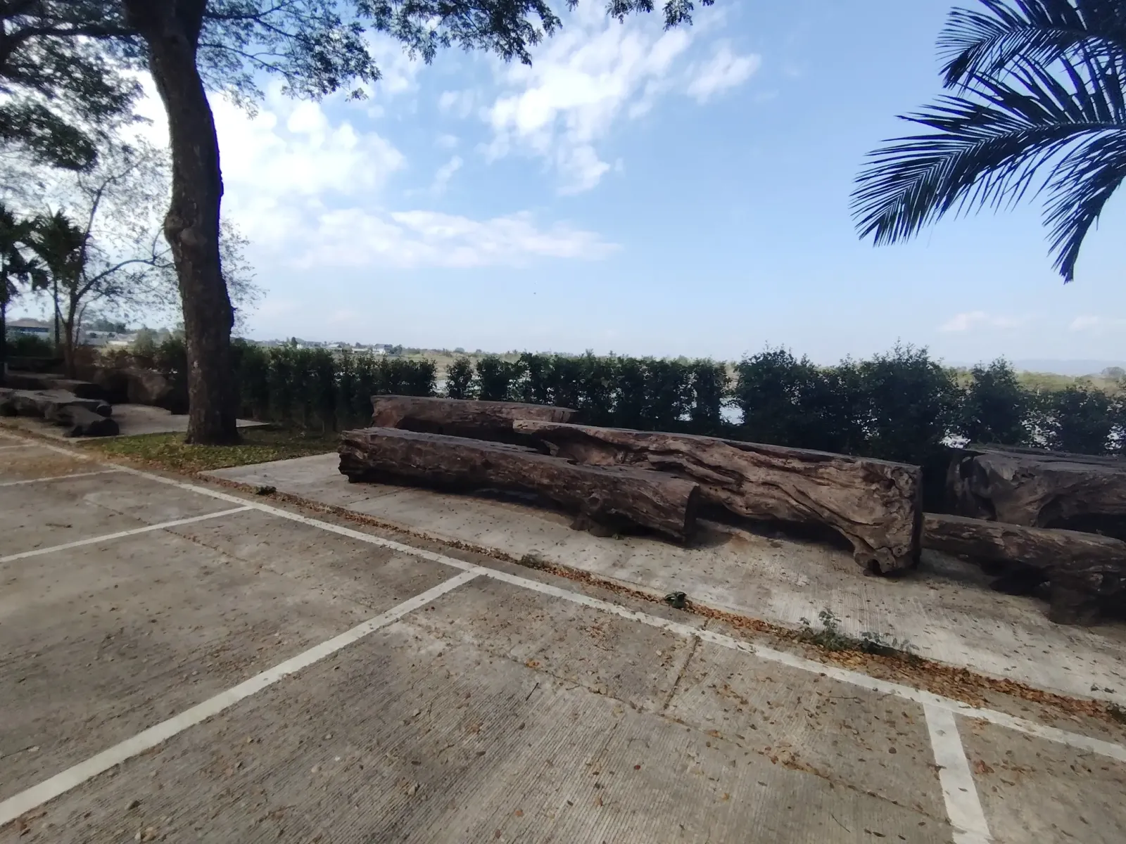 260124_chiang_mai_246