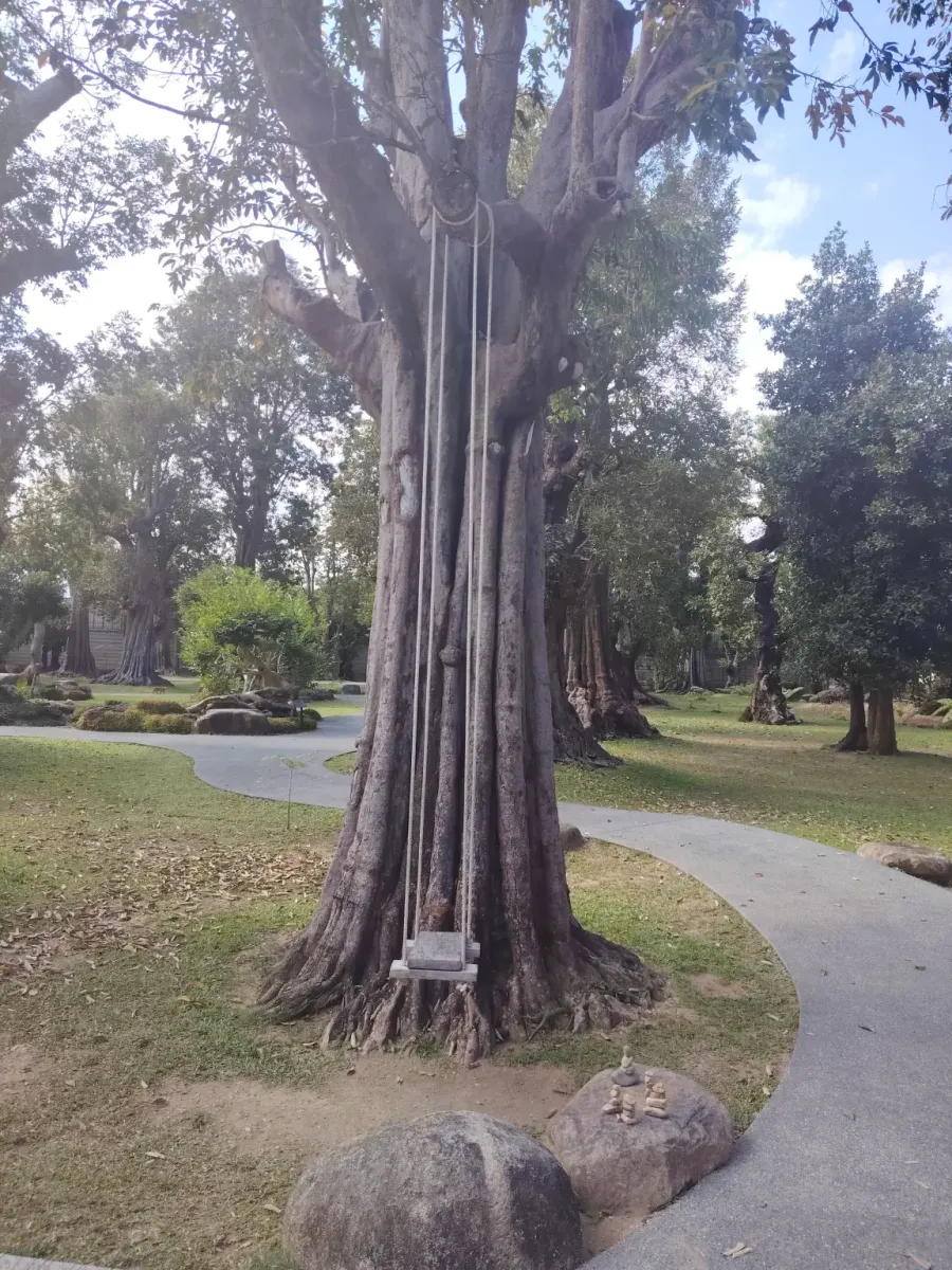 260124_chiang_mai_268