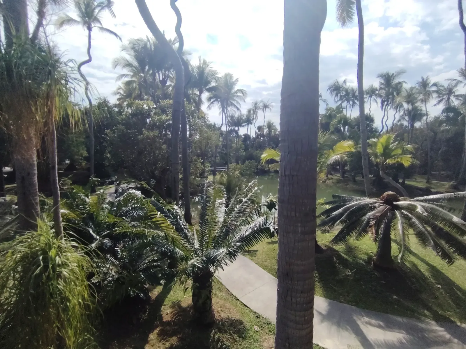 260124_chiang_mai_286