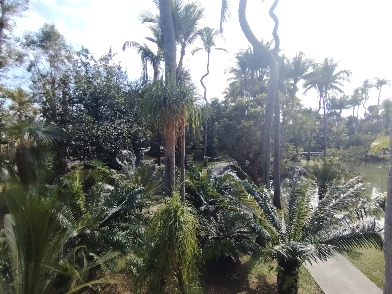 260124_chiang_mai_289