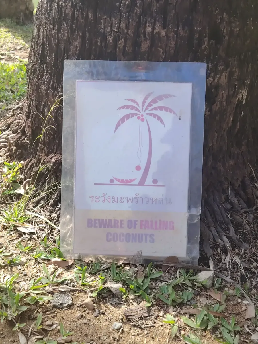 260124_chiang_mai_291