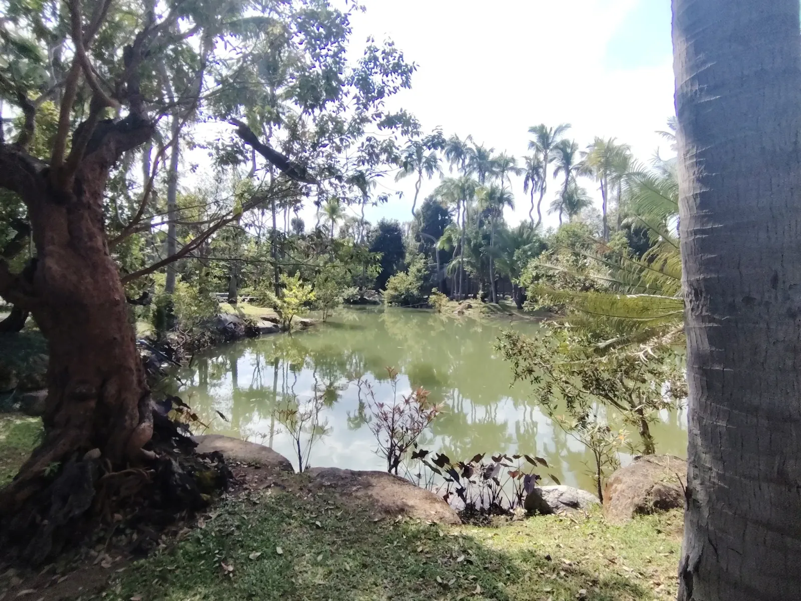 260124_chiang_mai_292