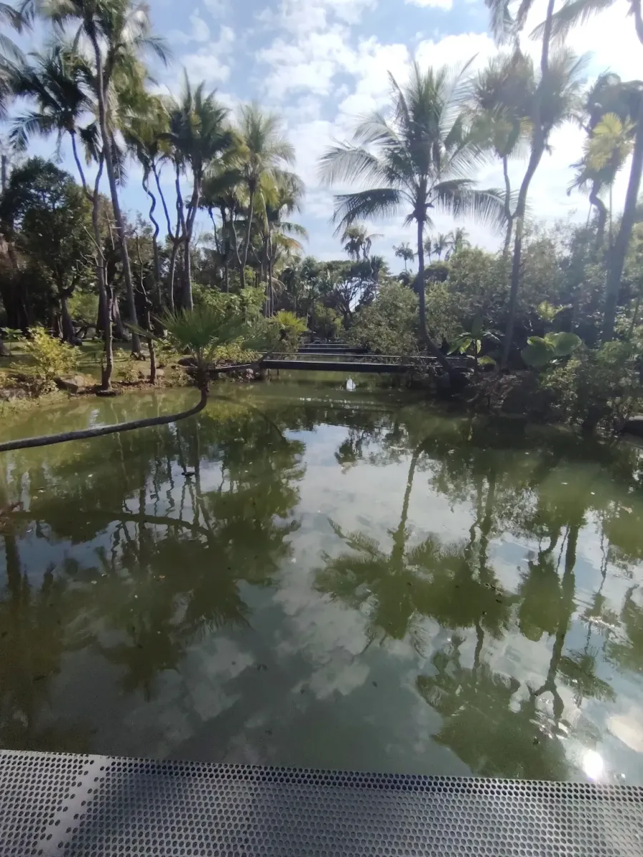 260124_chiang_mai_304