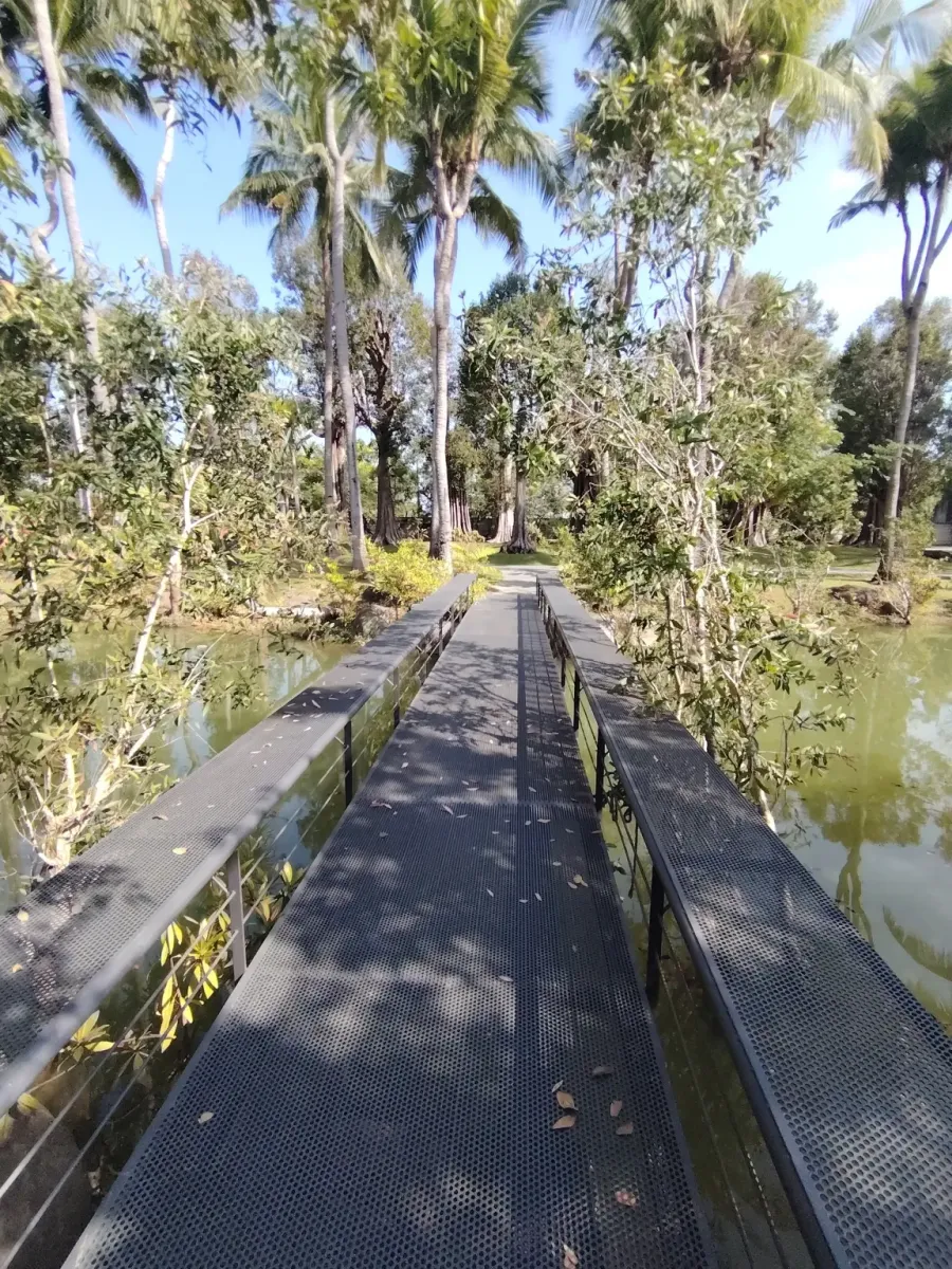 260124_chiang_mai_305