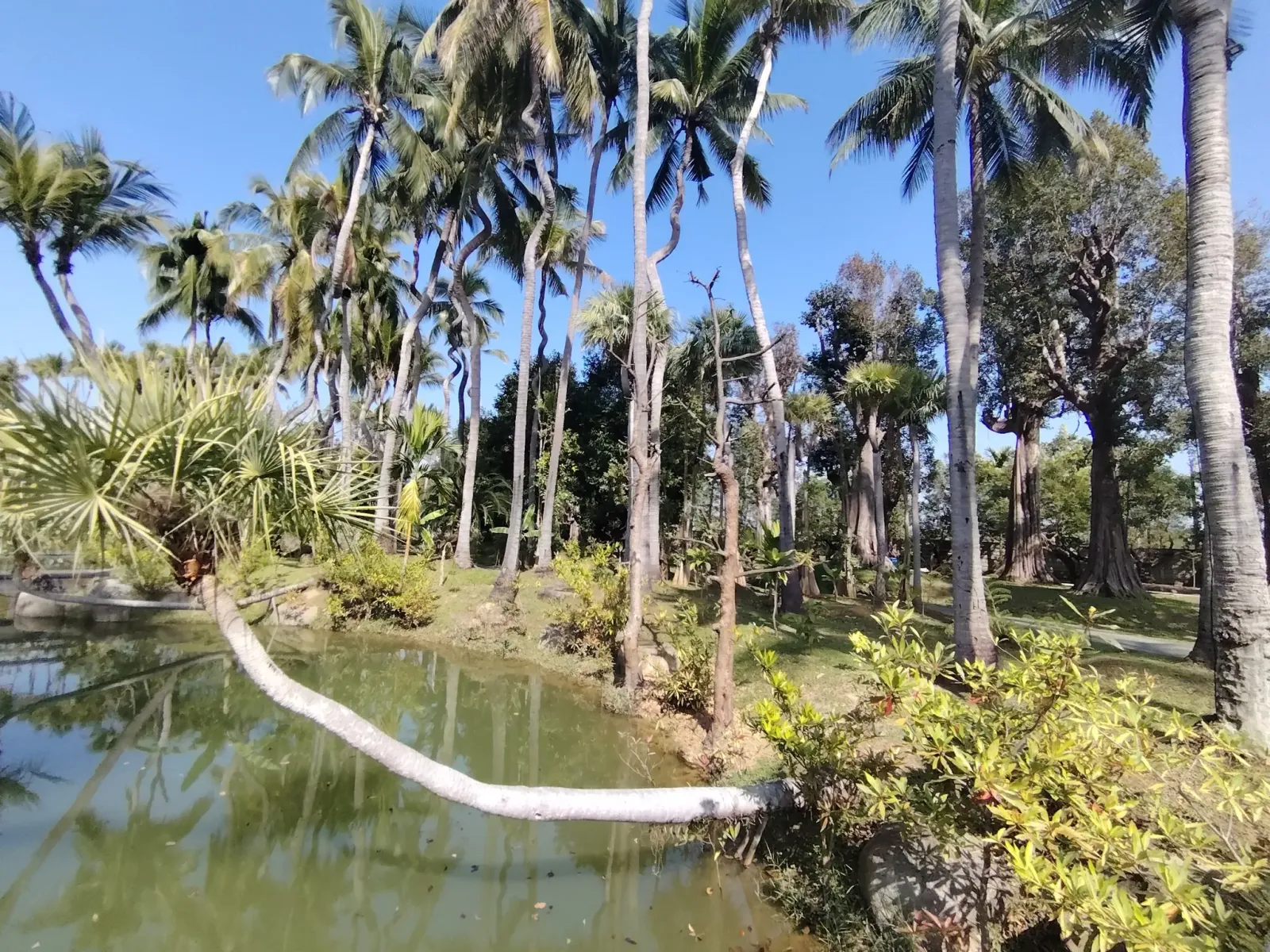 260124_chiang_mai_307