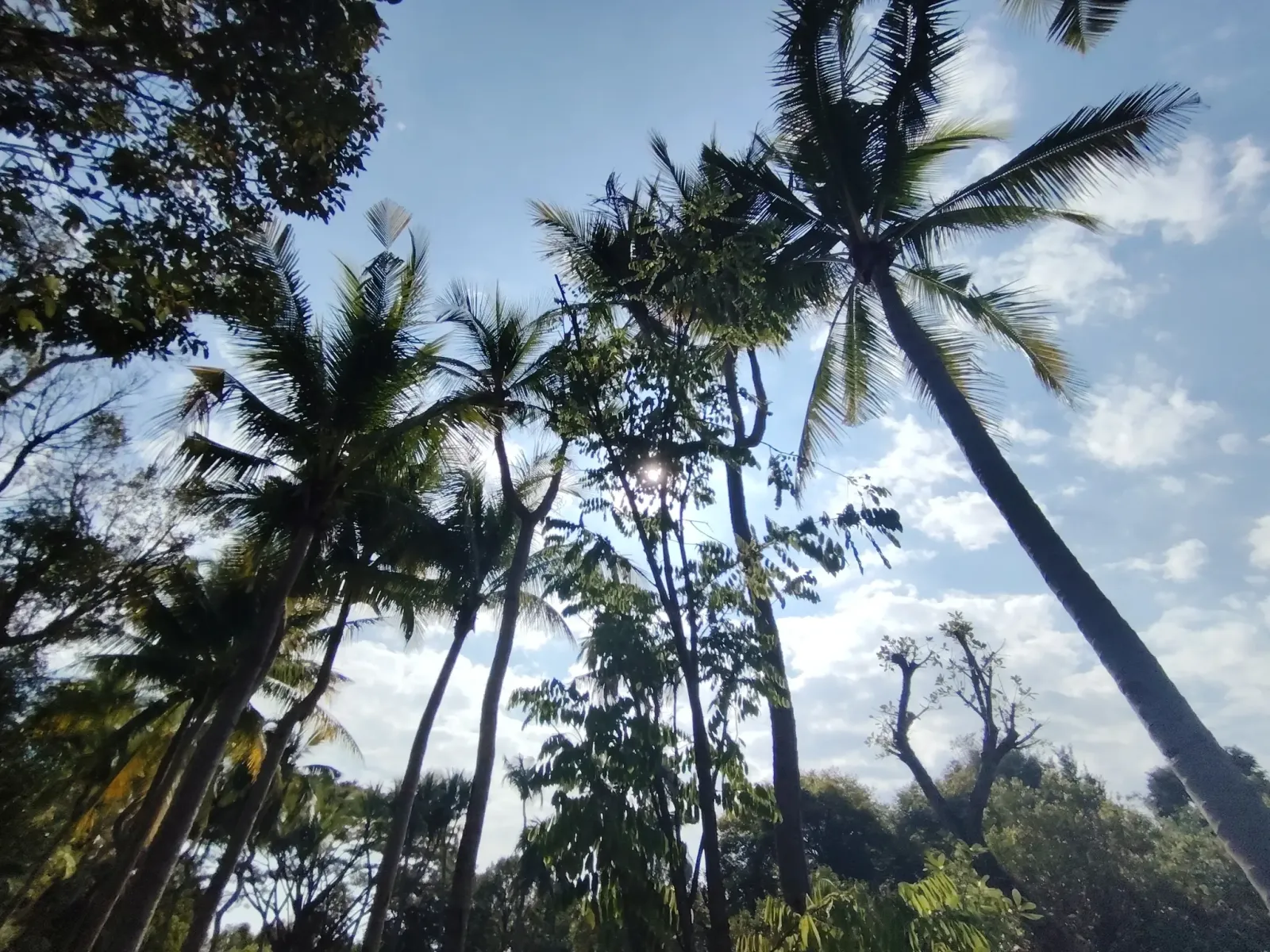 260124_chiang_mai_310