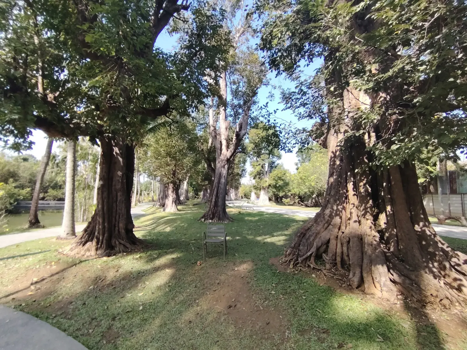 260124_chiang_mai_314