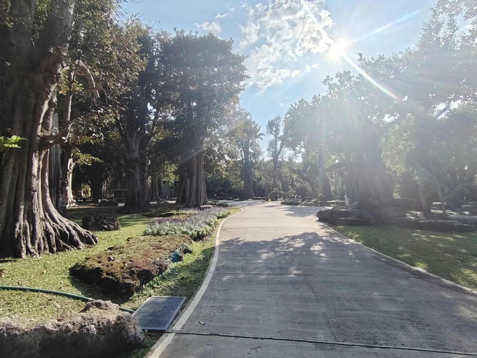 260124_chiang_mai_323