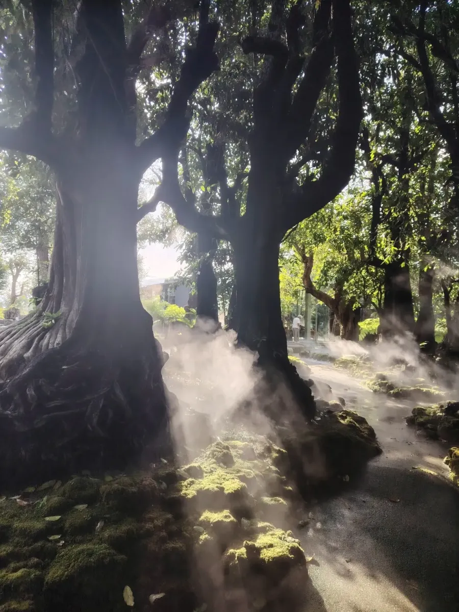 260124_chiang_mai_347