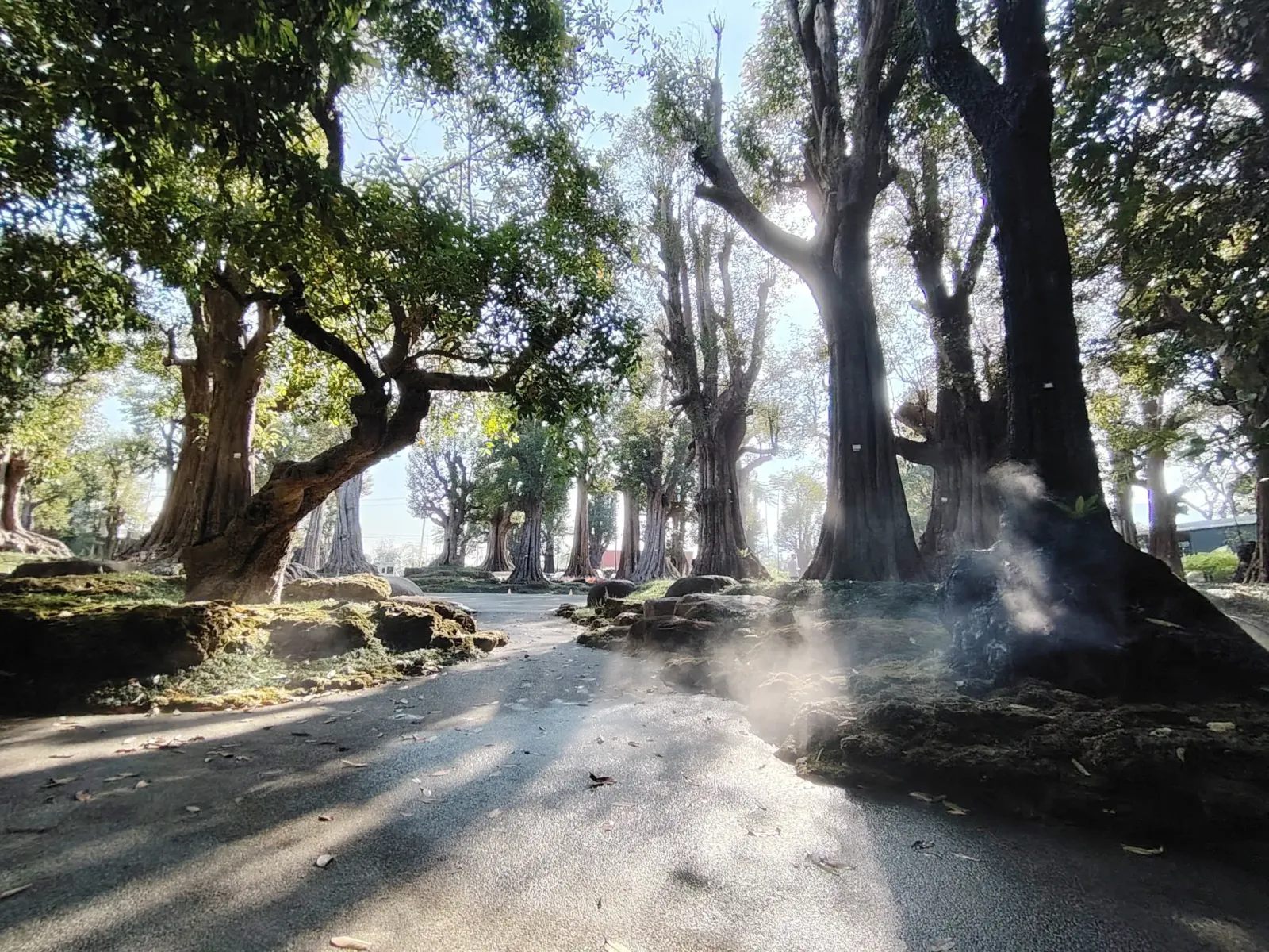 260124_chiang_mai_353