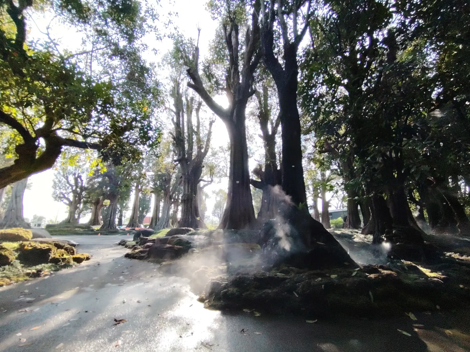 260124_chiang_mai_354