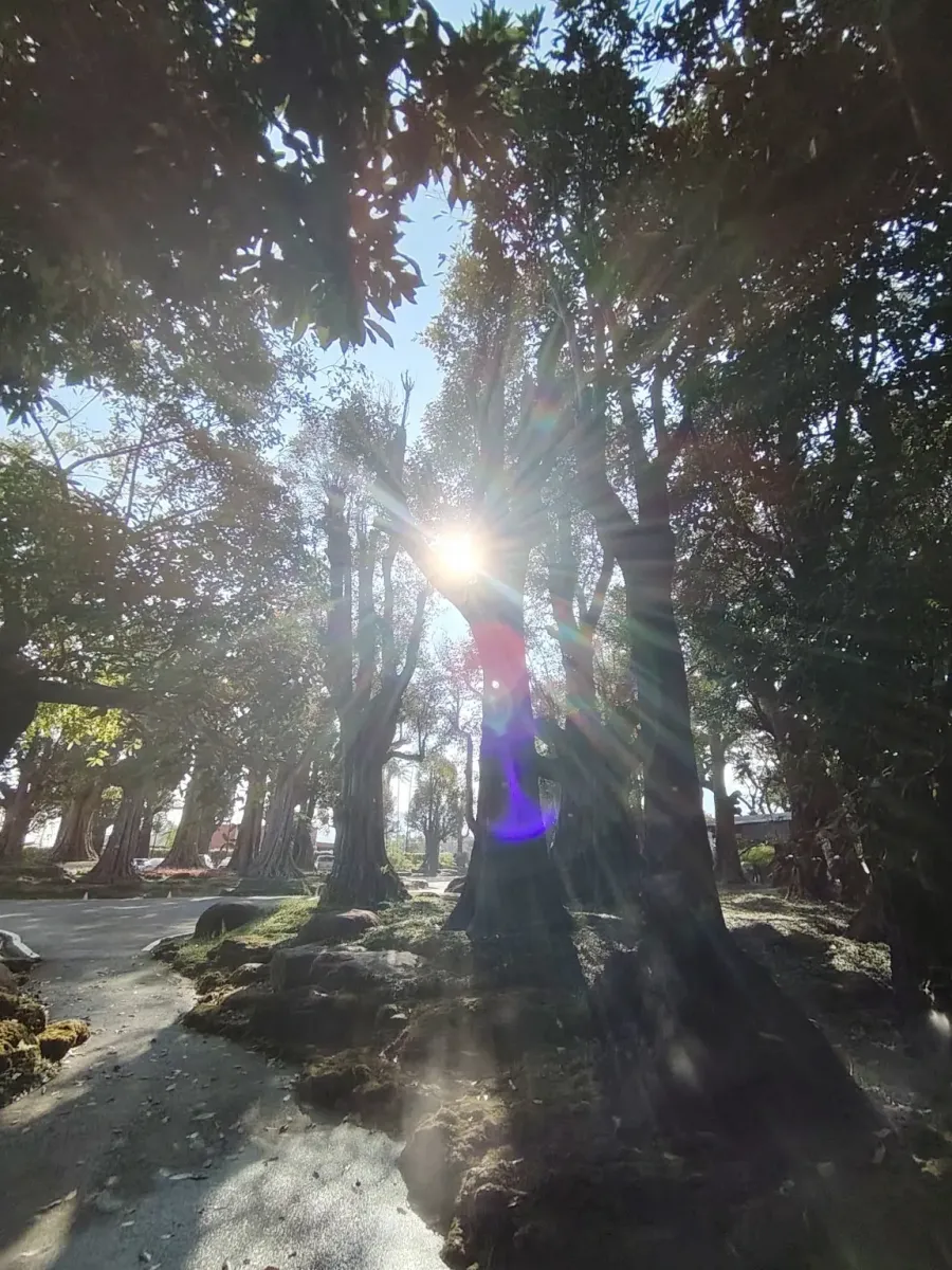 260124_chiang_mai_355